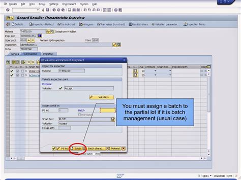 青蛙SAP分享 Froggy s SAP sharing SAP ERP QM Inspection Type 03 In Process