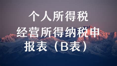 如何填报个人所得税经营所得纳税申报表（b表）20231117更新 知乎