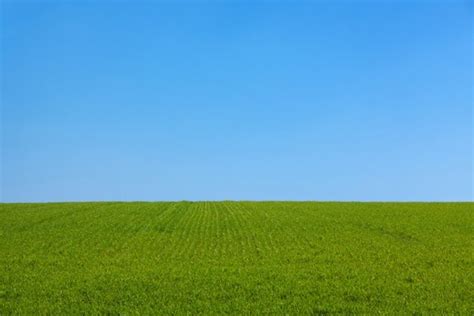 Plain green background free stock photos download (13,184 Free stock ...