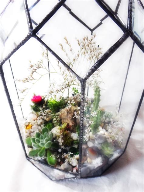 Pin on ATerrario estilo Tiffany in 2024 | Decor, Home decor, Terrarium