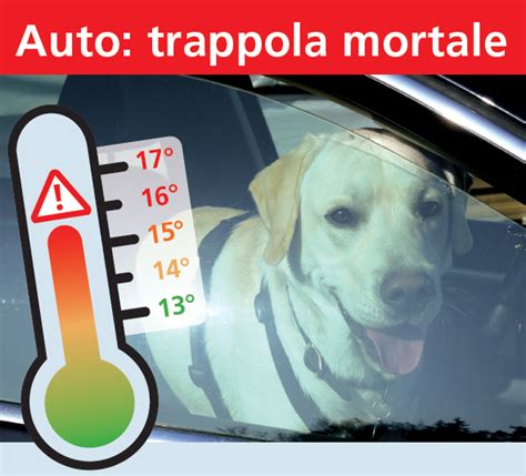 Campagna Di Sensibilizzazione Pericolo Del Calore All Interno Dell