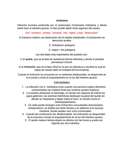 Amibas Amibiasis Infecci N Humana Producida Por El Protozoario