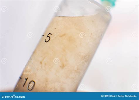 Psilocybin Mushroom Liquid Culture Of Mycelium Stock Photo Image Of