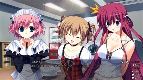 Save 40 On The Fruit Of Grisaia On Steam