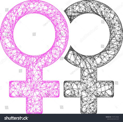 Web Mesh Lesbian Couple Symbol Vector Stock Vector Royalty Free Shutterstock
