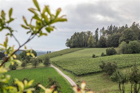 Verwaltungsrat Zlb Z Rcher Landbank