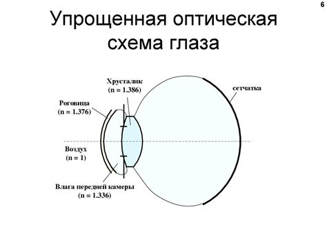 Глаз - оптическая система! - презентация онлайн