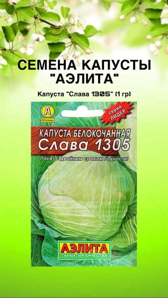 Капуста капуста_слава1305 - купить по выгодным ценам в интернет ...