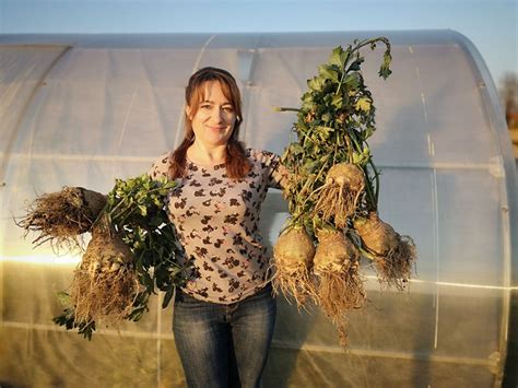 Садовый центр "Сияние" Минск. Купить органические удобрения в Минске