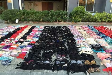 Lingerie Thief Who Hid Pieces In Ceiling Caught When It Collapsed Under Weight World