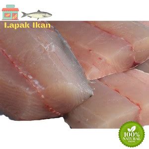 Jual Daging Filet Ikan Barakuda Segar Gram Jakarta Utara Lapak