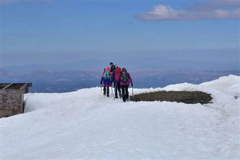 Paseo Con Raquetas De Nieve Por Sierra Nevada Civitatis