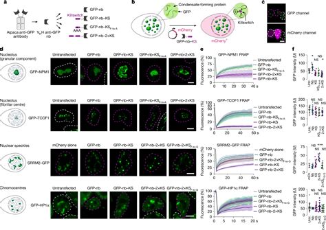 Scientists Freeze Proteins Inside Cells to Unlock Secrets of Disease