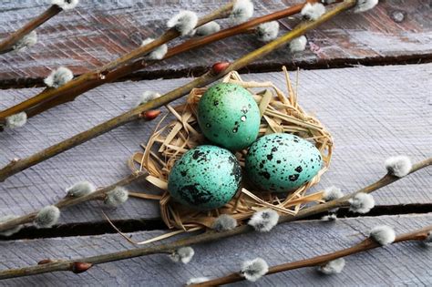 Premium Photo Bird Colorful Eggs In Nest And Pussy Willow Branches On Wooden Background