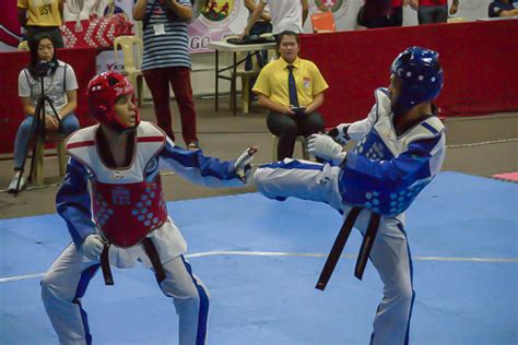 Letran Taekwondo Team ‘we Are Not Underdogs The Lance Official