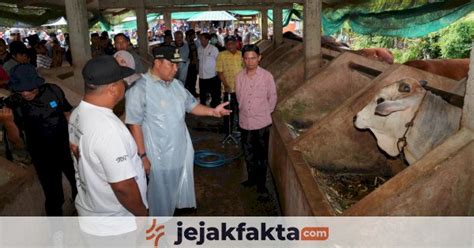 Pj Gubernur Sulsel Kunjungi Bangsal Pasca Panen Di Pinrang Tebar Benih