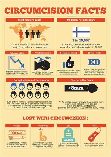 Circumcision Facts Gerçek Erkek