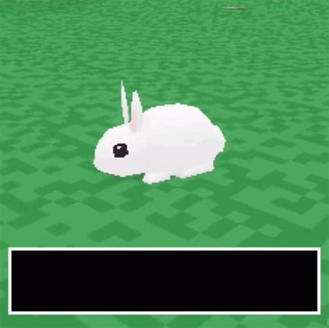 Meme Bunny Meme Bunny Go Fuck Yourself Discover Share GIFs