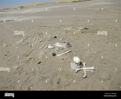 The "Skeleton Coast", where the Namib Desert meets the Atlantic Ocean ...