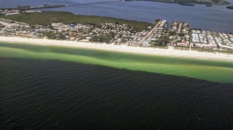 A year ago, toxic red tide took over Florida’s Gulf Coast. What would ...