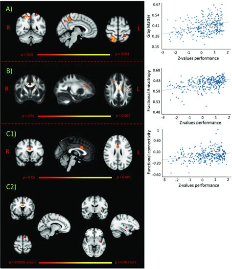 Images Depict Positive Voxel Wise Correlations Between ER Scores And