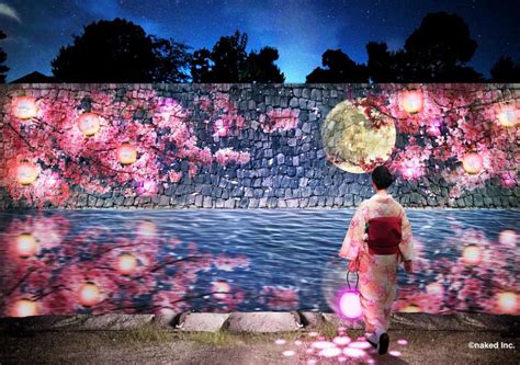 NAKED Sakura Festival 2024 World Heritage Nijo Castle Admission TicketKyoto Japan KKday