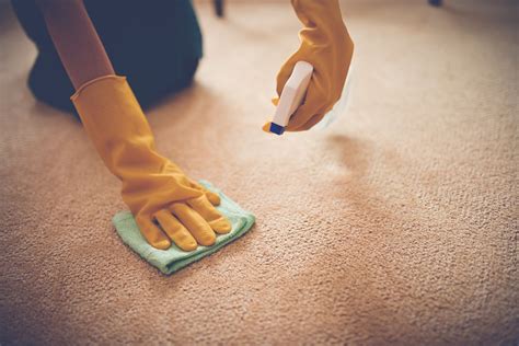 Stain Removal Guide Clothes, Carpet, and Upholstery