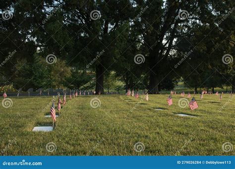 Cemetery for Military Veterans Decorated with Flags. Stock Photo ...