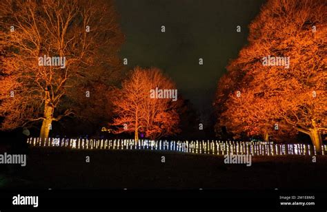 Christmas lights at Kew Gardens Stock Photo - Alamy