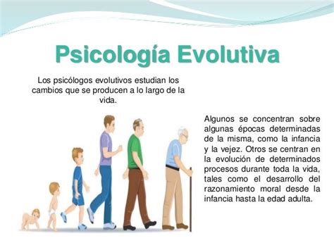 Desarrollo Evolutivo