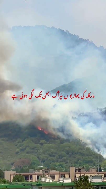 Forest Fire In Margalla Hills Islamabad Pakistan Youtube