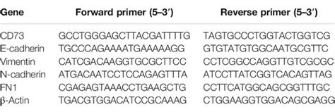 Frontiers CD73 Severed As A Potential Prognostic Marker And Promote