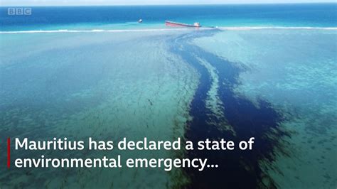 Mauritius Oil Spill An Environmental Disaster Cip News