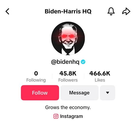 Joe Bidens Reelection Campaign On Tiktok Despite Controversy