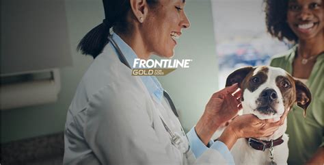 FRONTLINE® Gold for Dogs | Triple Action Flea and Tick Treatment