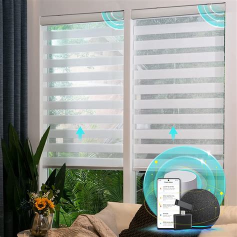 Amazon.com: CITOLEN Motorized Blinds with Integral Valance Zebra Blinds
