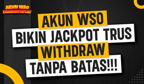 Apa Itu Akun Wso Slot Pemahaman Dasar Untuk Pemain Baru