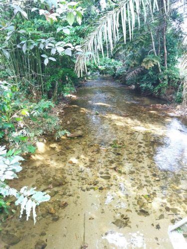 Ekar Tanah Rata Cantik Sungai Bersih Batang Kali Malaysia Free