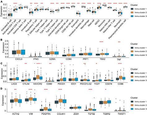 Frontiers Uncovering The Association Between M C Regulator Mediated