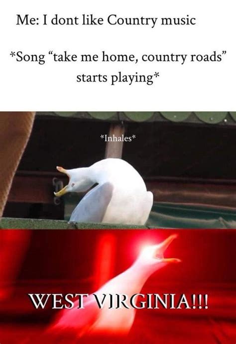 Don't Like Country | "Take Me Home, Country Roads" | Know Your Meme