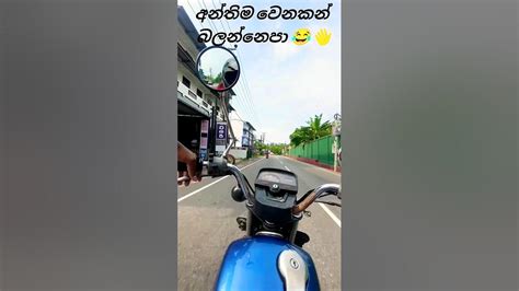 ගෞරවයෙන් බුදු සරණයි Shorts Youtube