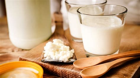 Lactose Free Probiotic Yogurt Market Set To Reach Us Billion By