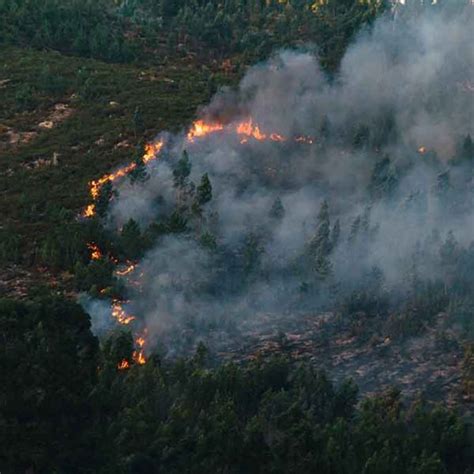 Técnico Profesional En Investigación De Las Causas De Incendios