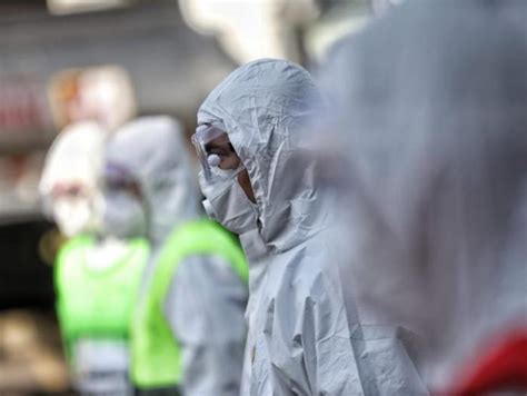 Covid en América Latina Desigualdad y crisis Internacional Portafolio