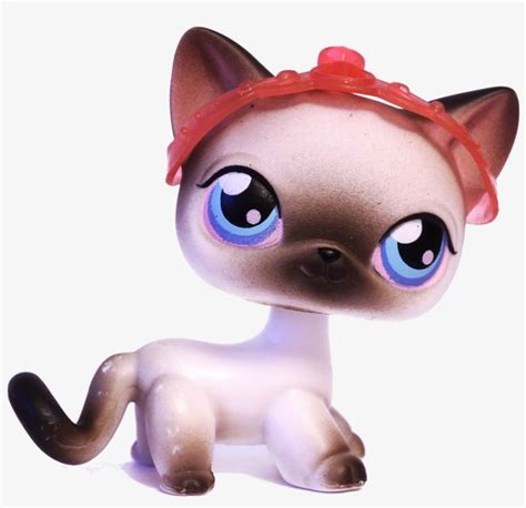 My Little Pet Shop Transparent PNG - 1600x1067 - Free Download on NicePNG