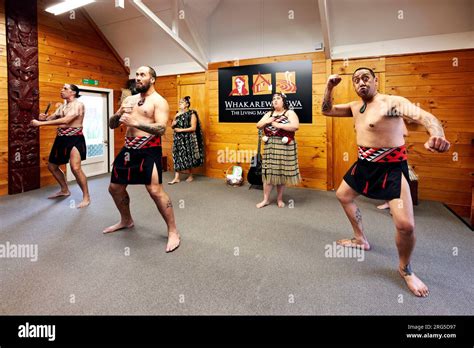 Rotorua. New Zealand. Haka traditional dance at Whakarewarewa living ...