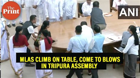 Watch Mlas Climb On Table Come To Blows In Tripura Assembly