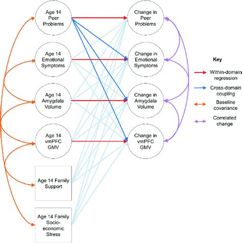 Multivariate Latent Change Score Models Showing Withinvariable