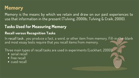 Solution Chapter 5 Memory Models And Research Methods Studypool