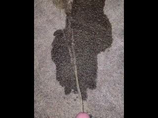 Pissing On The Carpet 4k Pornhub Gay
